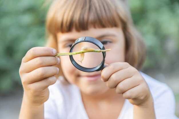 Adjusting the Peep Sight for Optimal Line of Sight
