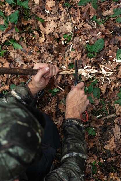 Strategic Placement of Decoys in the Field