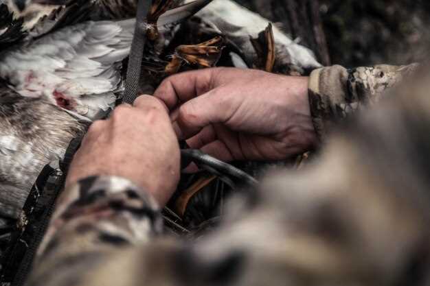 How to use decoys effectively in bowhunting