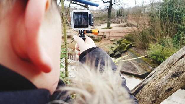 Understanding Animal Behavior Patterns Through Camera Data
